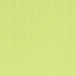 Zelena panel zavjesa Entry 60 cm x 245 cm